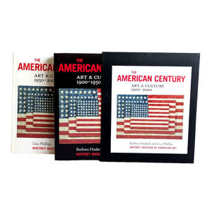 THE AMERICAN CENTURY Art & Culture 1900 - 2000 1st Ed HC Books HASKELL PHILLIPS